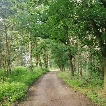 Quatro Σπίτι διακοπών Brzezinki (Olawa)