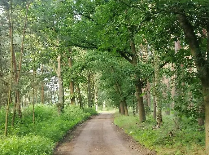 Quatro 펜션 Brzezinki (Olawa)